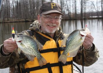 Jim McClave enjoys success on Pymatuning Lake for ice-out crappies holding in a shallow spatterdock pad bed using minnows below a float.