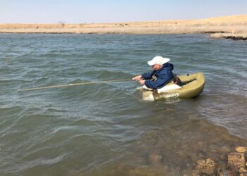 When the crappies move shallow to spawn in farm ponds, Hartman uses his fly rod to catch them.