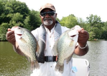 Good mid-summer crappies, like this one, can be caught with proper techniques and presentations.