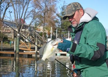 We followed the tide into a creek profuse with docks, houses, moored boats and winding ways: so different from the backwater creek we fished first.