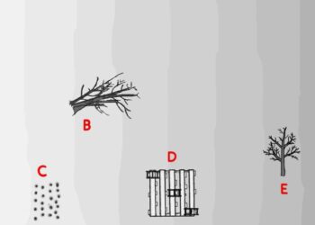 A is a “fence row” of brush built from shallow water to deep. The purpose is to have some depth where the crappie will be holding. B is a small tree or limbs in 8 to 14 feet of water. This will be a good spring/fall spot and could produce all year long. C is a shallow, short stake be built primarily for spring when fish go shallow. It could be a fall spot, too. D is a pallet stake bed in 14 to 18 feet of water, a great depth for almost any season. E is deep brush placed for summer and winter.