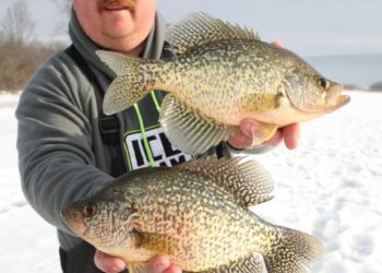 Good crappie from the ice. Days like these prove that a proper presentation in the right spot can produce good fish,