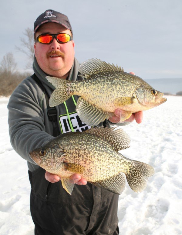 Good crappie from the ice. Days like these prove that a proper presentation in the right spot can produce good fish,