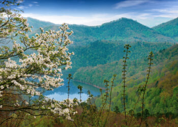 When the white pelicans line up to head north, it’s crappie fishing time.