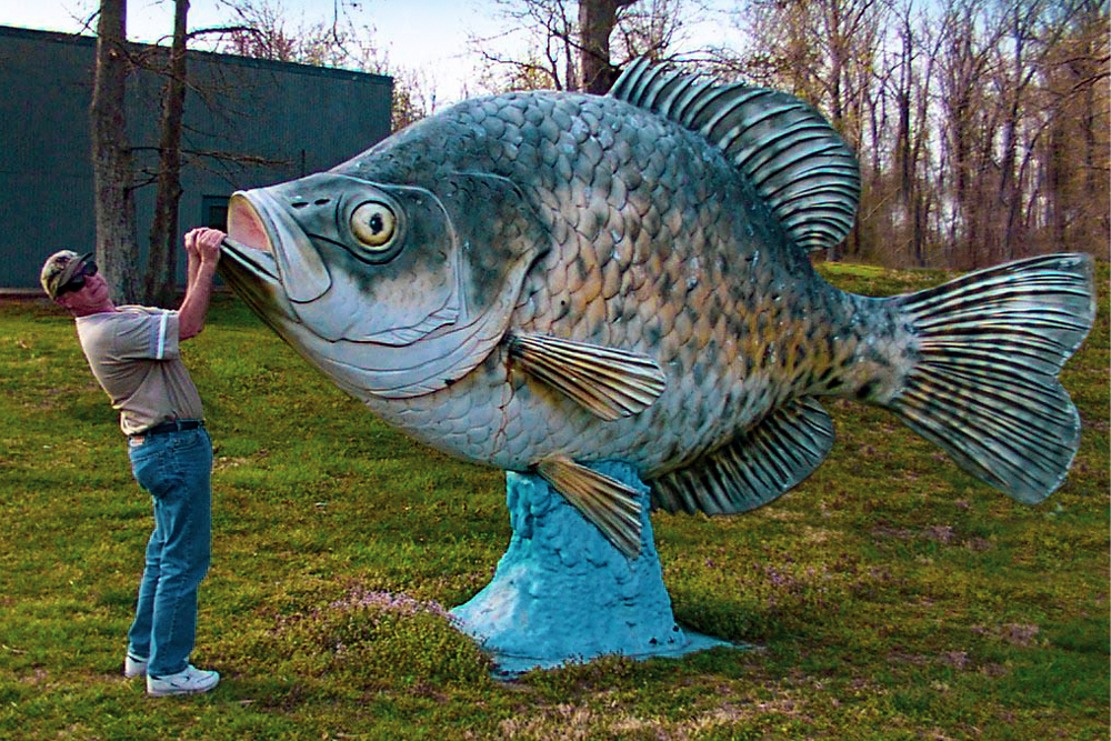 “And the Survey Says…”, by Richard Simms