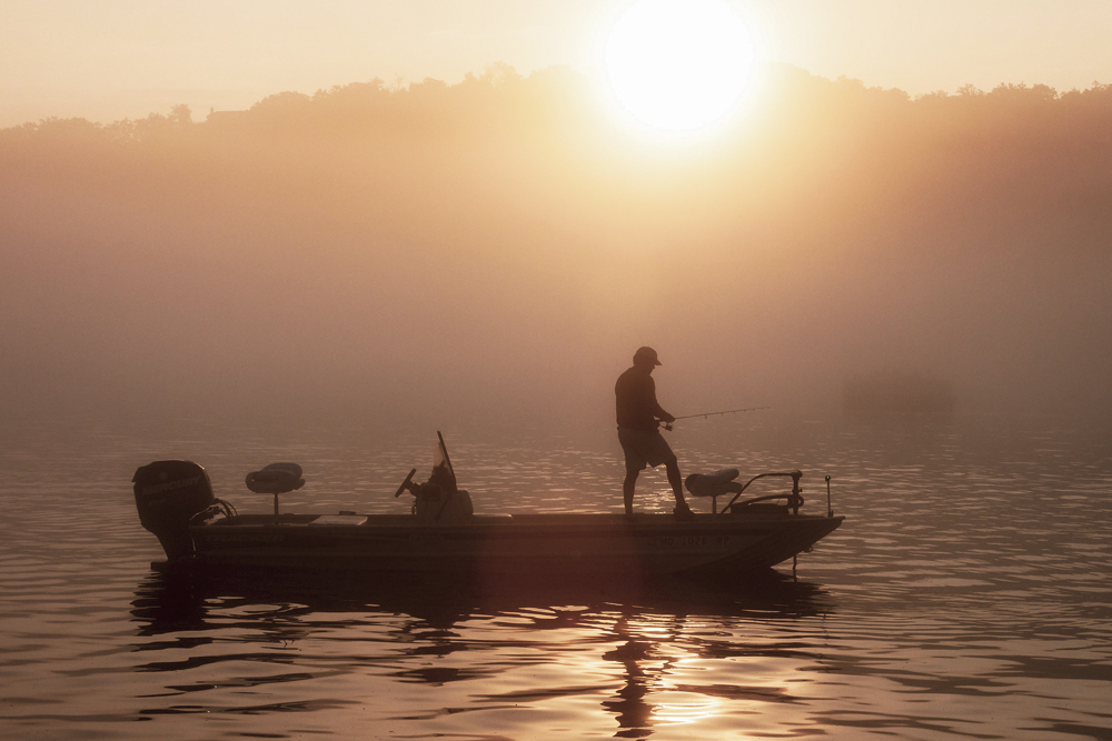 Escape to the Ozarks, by Larry Whiteley