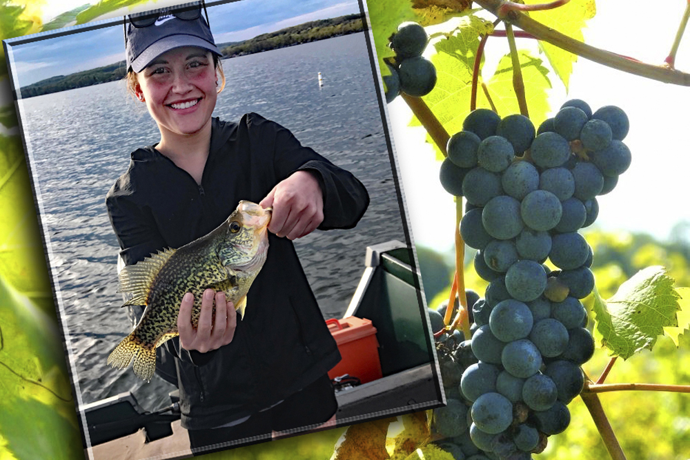 Days of Wine and Crappie, by Ken Perrotte