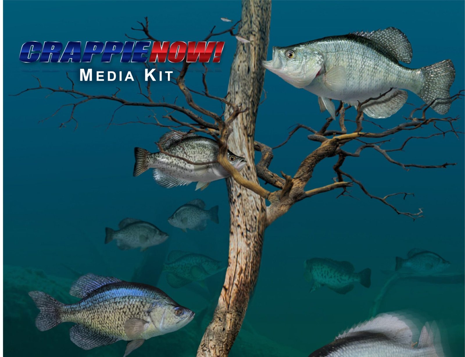2020 NEW CRAPPIE NOW Online cover