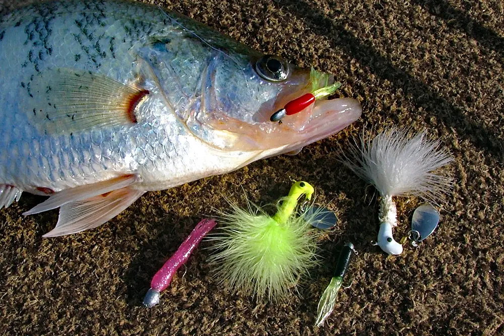 Lot De 3 Leurres Crappie Jigs - Multicolores, 1/16 Oz, Pour Pêche En Eau Douce Et Sous Glace