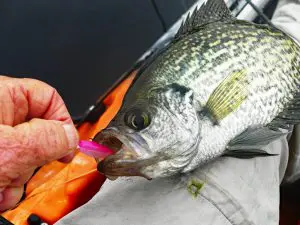 crappie hunter fishing pole Shakespeare Crappie Hunter Spinning Combo