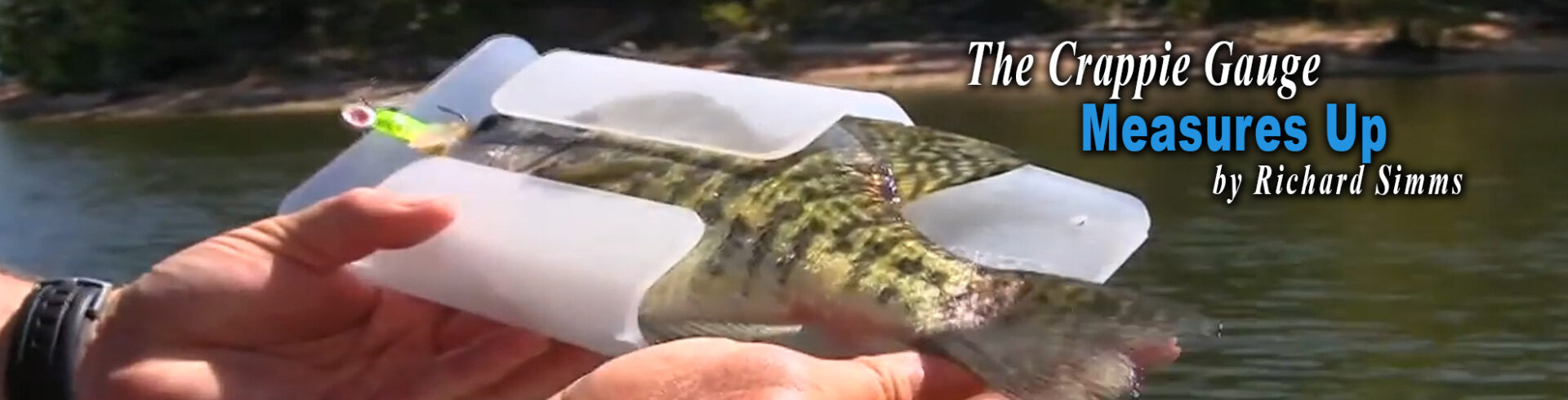 Crappie Gauge March Slider Art