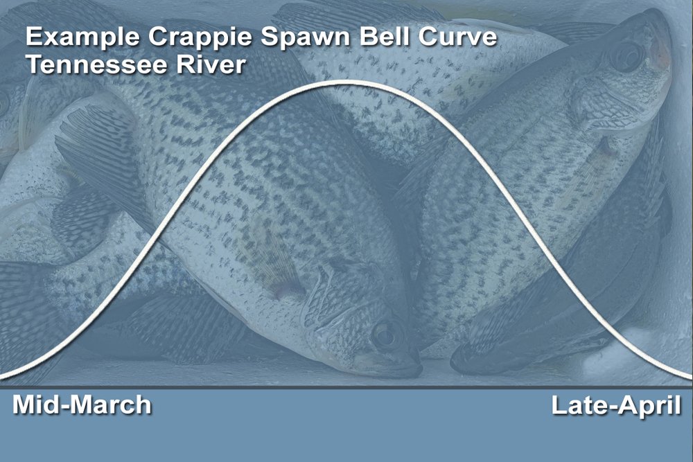 Crappie Basics – Crappie Spawning Temperatures