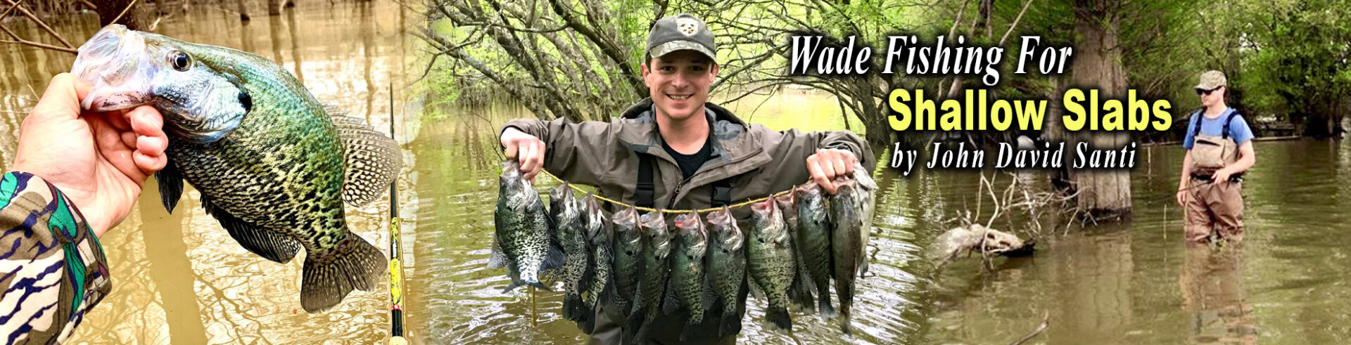 Wading March Slider Art