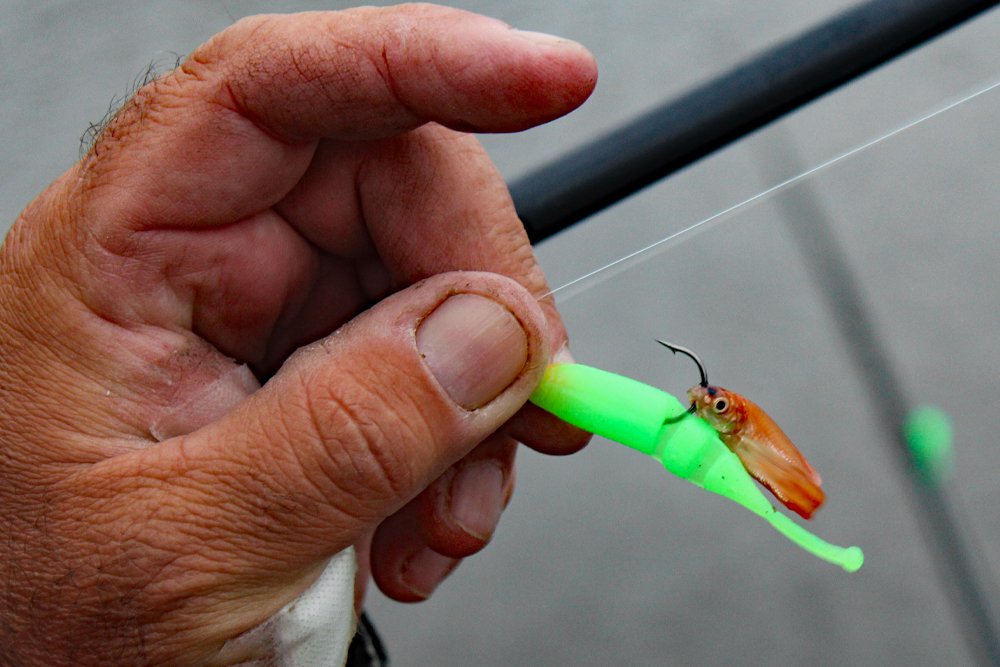 Crappie Basics 1 – May Flowers Mean Something