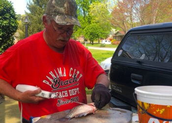 If you’re fishing saltwater, chumming is a standard, proven technique.