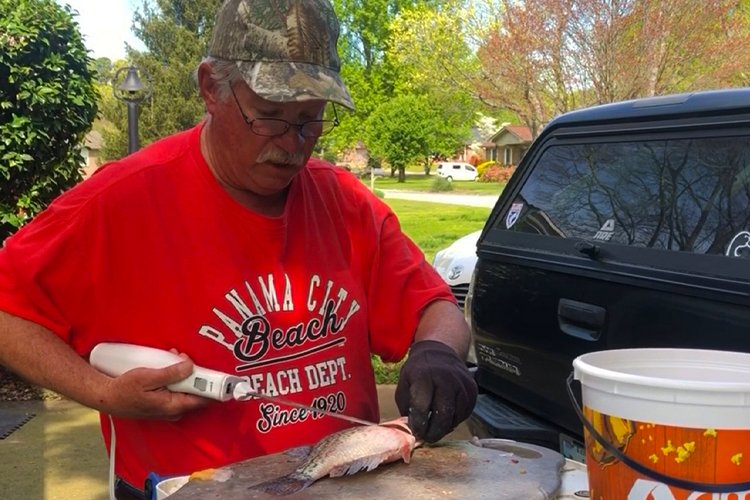 If you’re fishing saltwater, chumming is a standard, proven technique.