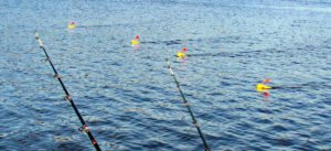 Planer boards get baits away from the boat where crappie are less-likely to be spooked, especially in shallow water. A four-per-side setup is for experienced planer board fishermen because of the difficulty, but more boards mean more baits and increases the odds of a bite. (Photo: Tim Huffman)