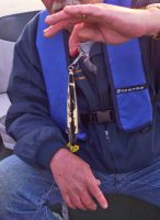 CrappieNOW Editor Richard Simms’s friend got hooked while trying to remove the 7-inch Redfin from a 20-pound striper. However, in this case Simms was able to use the “Line Pull” method to remove the hook. After washing and wrapping the wound, they were able to continue fishing. (Photo: Richard Simms, CrappieNOW Editor)