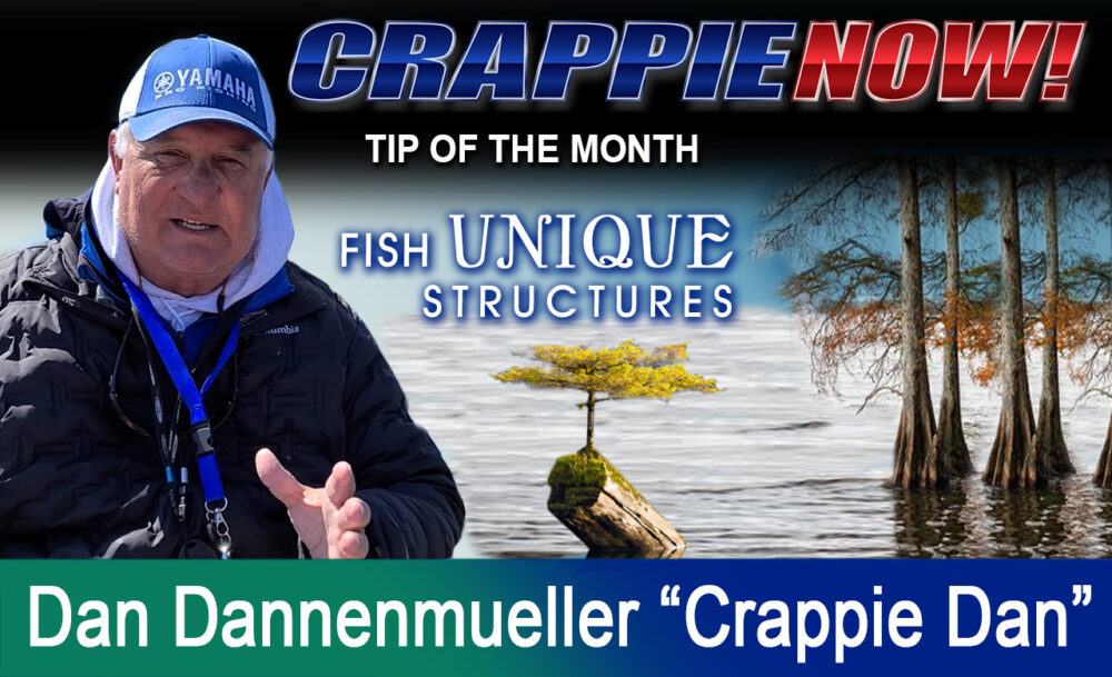 Be Unique and fish different structures