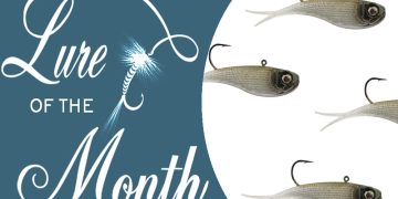 Lure of the Month: Power Vibe, by Terry Madewell