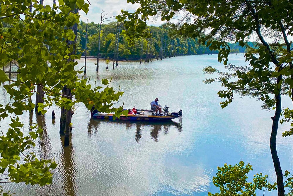 Family, Fishing, Food and Fun