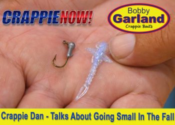 CN Intro Final NOV 2024 How To Fall Tips