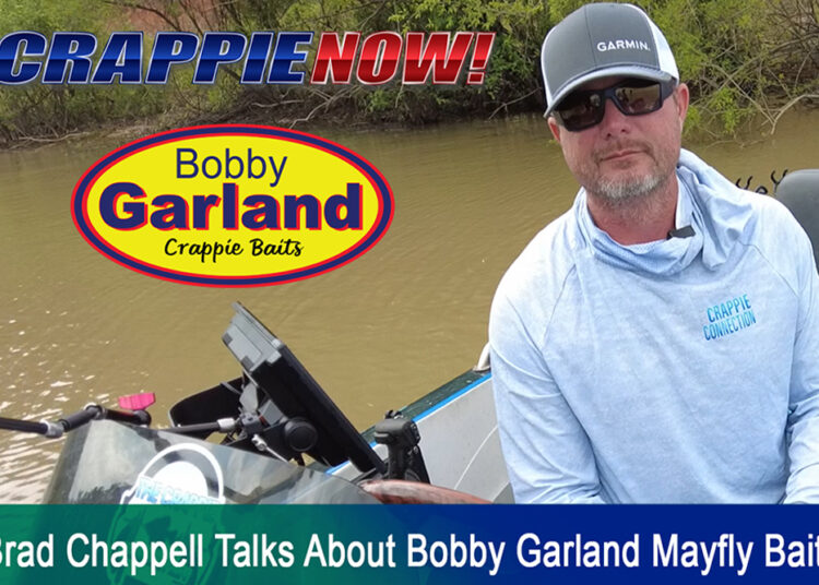 Videos crappie now