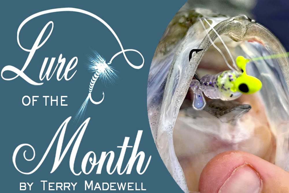 Sept lure 2025
