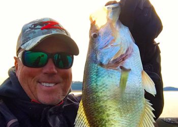 Pro Angler David Walker Shares Wintertime Crappie Tips, by Cory Schmidt